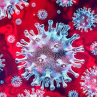 Coronavirus e traduzione